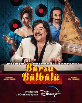 成人免费视频观看
