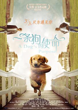羞羞视频在线免费观看