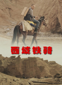 精品国产一区二区三区在线观看