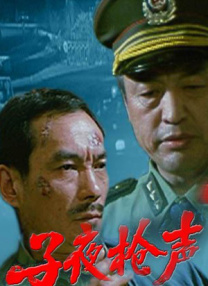 国产精品99久久久久久久vr
